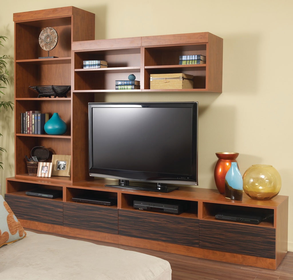 Whether watching movies, listening to music, or gaming, More Space Place can help you design the perfect custom entertainment center Austin TX. Visit our showroom today and let a designer help you build your custom media center Austin TX today.